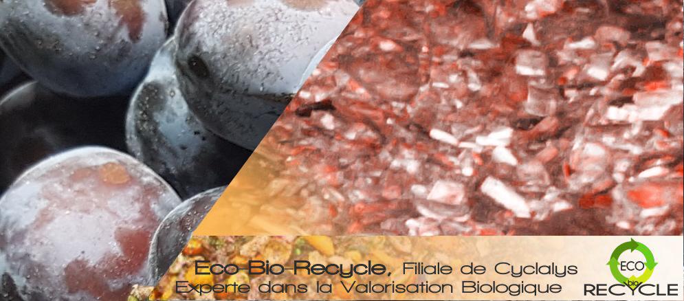 Eco-bio-recycle à Etreville en Normandie, filiale de Cyclalys, experte dans la valorisation Biologique.