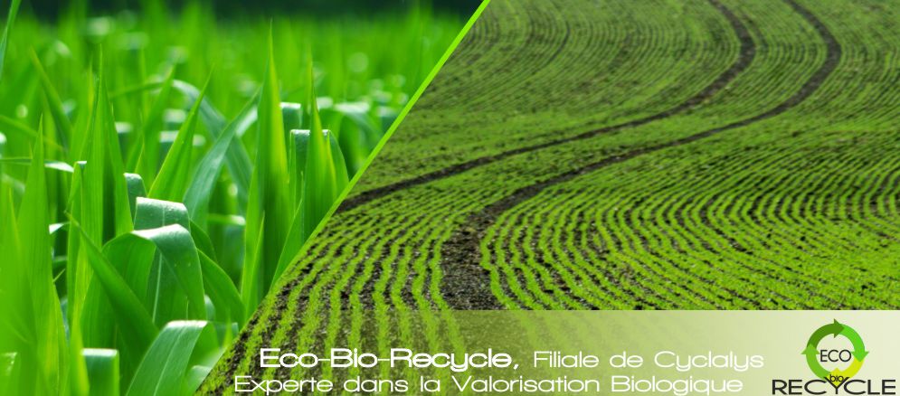 Eco-bio-recycle à Etreville en Normandie.
